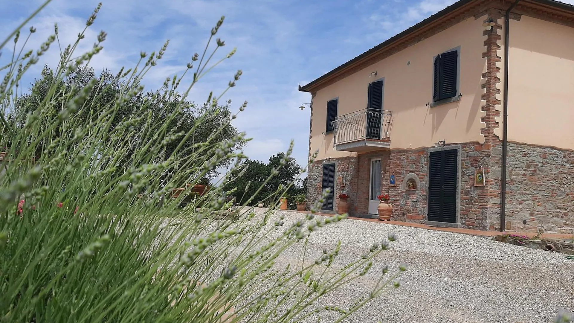 Casa Del Nonno Bingheri - La Cantina Cortona Italy