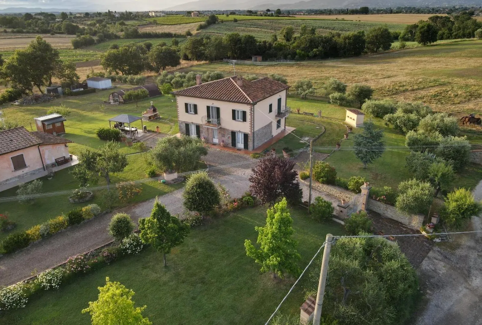 Casa Del Nonno Bingheri - La Cantina Cortona Apartment