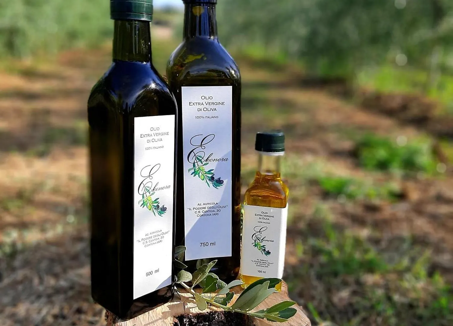 Casa Del Nonno Bingheri - La Cantina Cortona 0*,