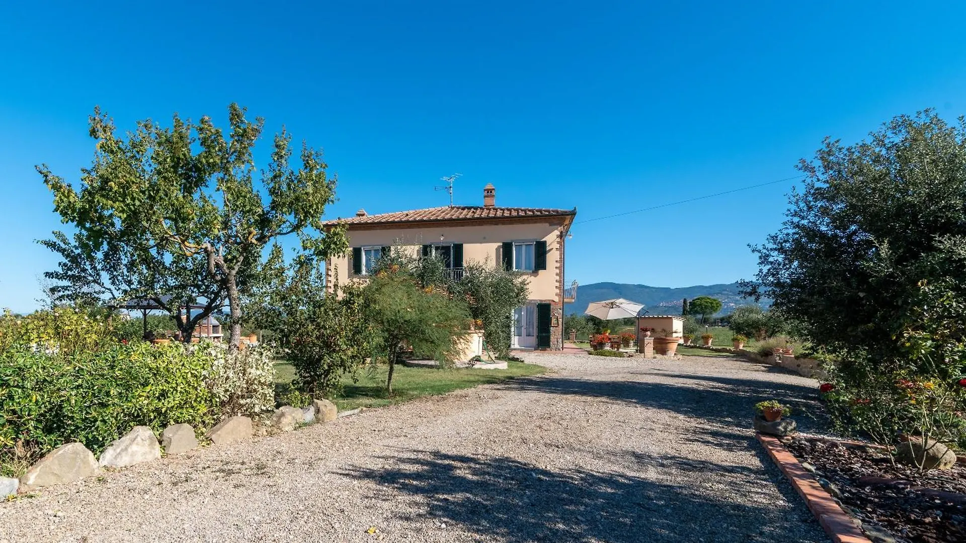 Casa Del Nonno Bingheri - La Cantina Cortona